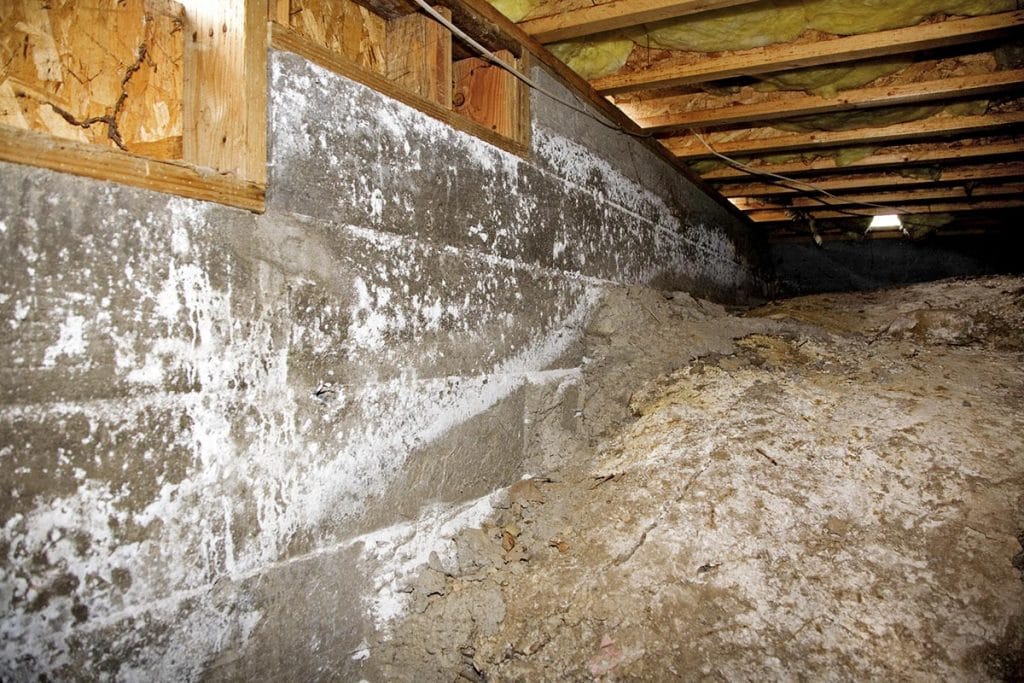 Essential Maintenance Tips for a Healthy Crawl Space