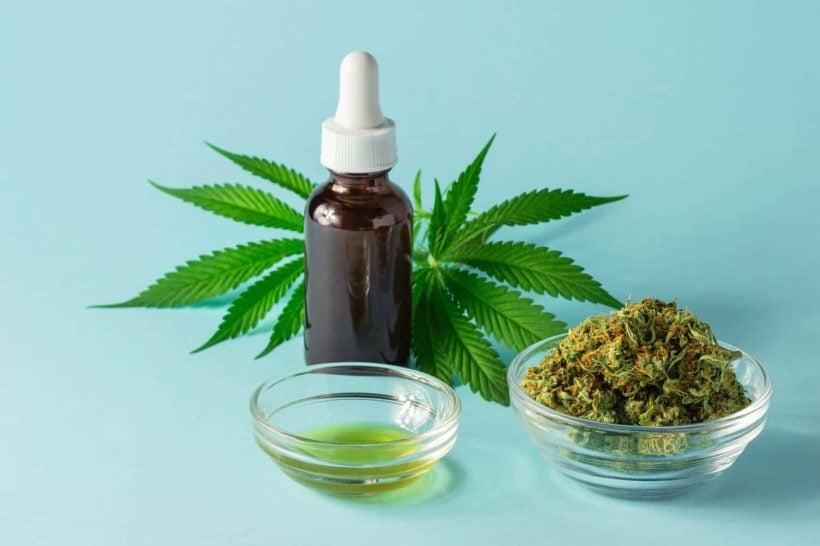 The Science and Benefits of CBD Oil What You Need to Know to Make the Most of It