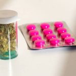 CBD Gummies Canada Organic Options You’ll Love
